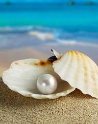 Picture for Personal Coaching - Pearl Investment package